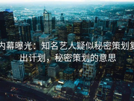 内幕曝光：知名艺人疑似秘密策划复出计划，秘密策划的意思