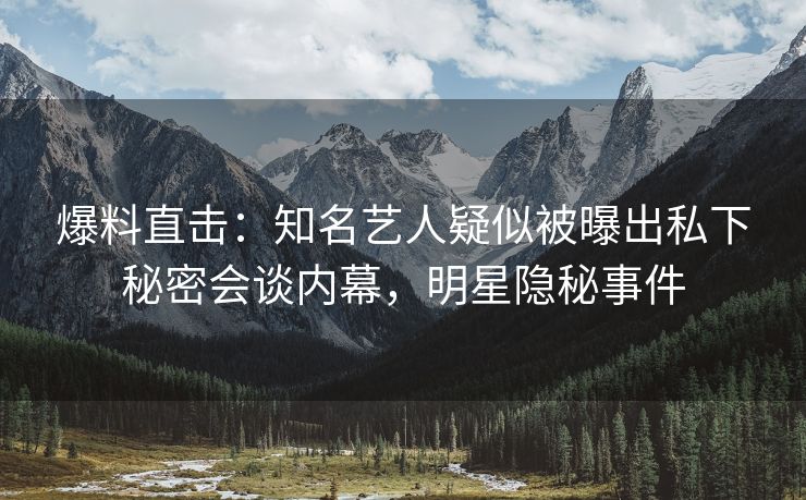 爆料直击：知名艺人疑似被曝出私下秘密会谈内幕，明星隐秘事件